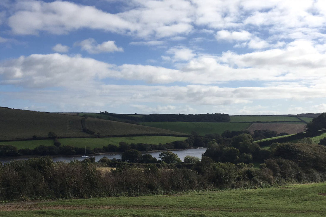 Springfield Farm Shop – Coffee with a view!