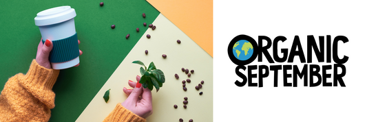 Learning How to Live More Sustainably