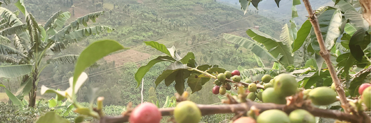 Visit to Rwanda