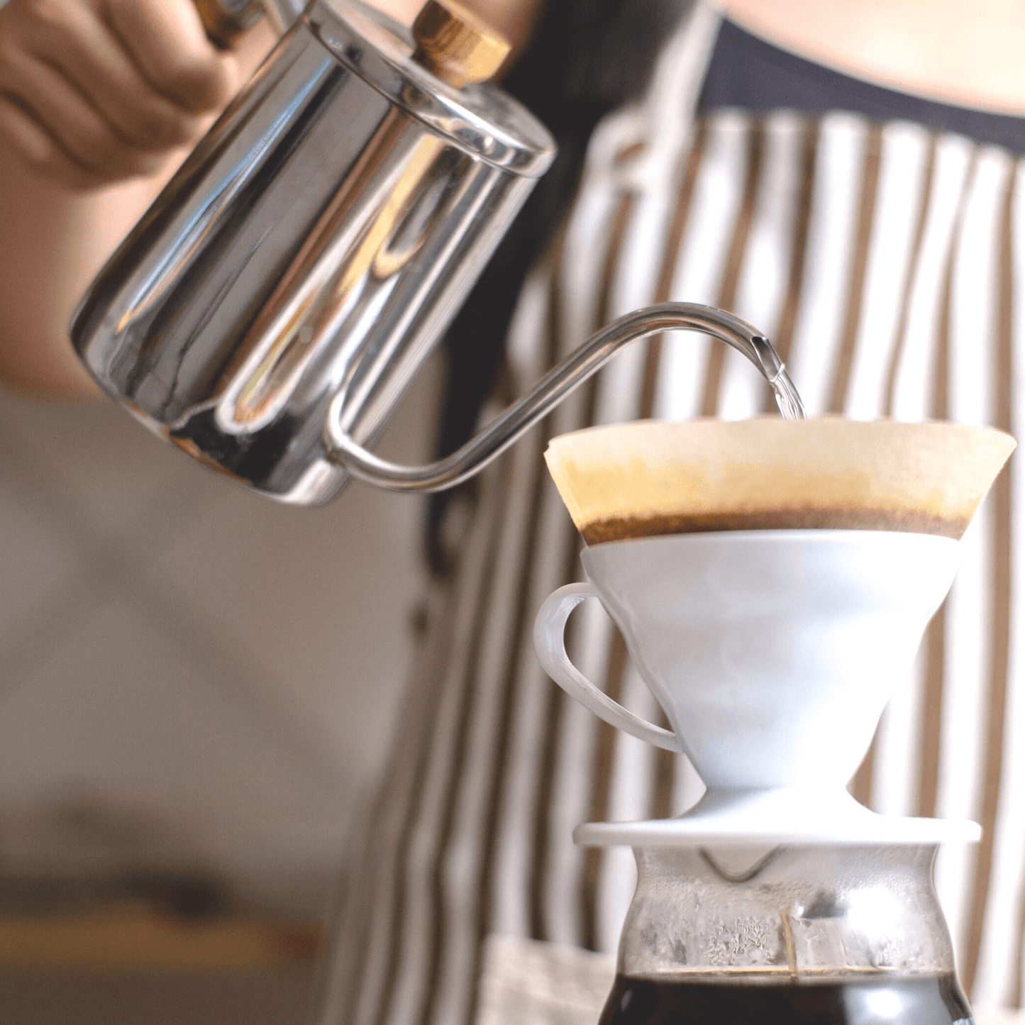 Coffee Tasting & Brewing Experience