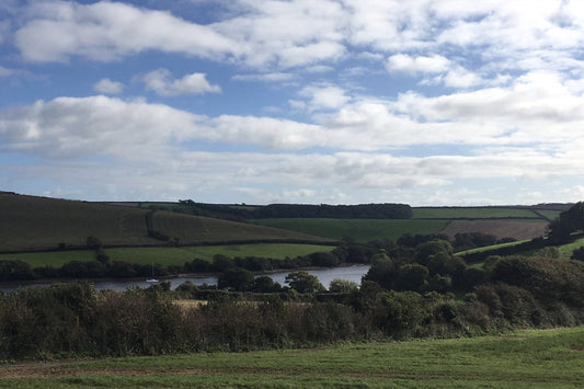Springfield Farm Shop – Coffee with a view!