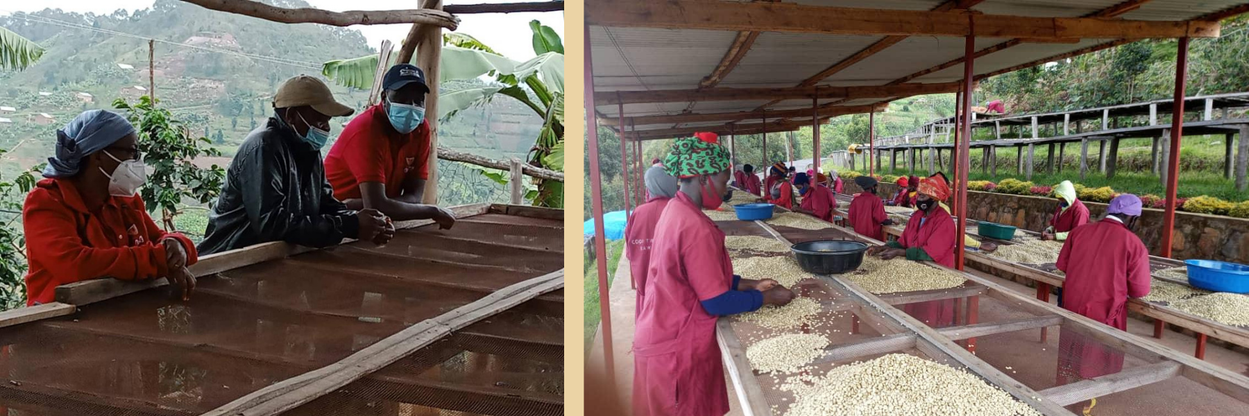 Jabulani : Organic Rwandan coffee with a purpose