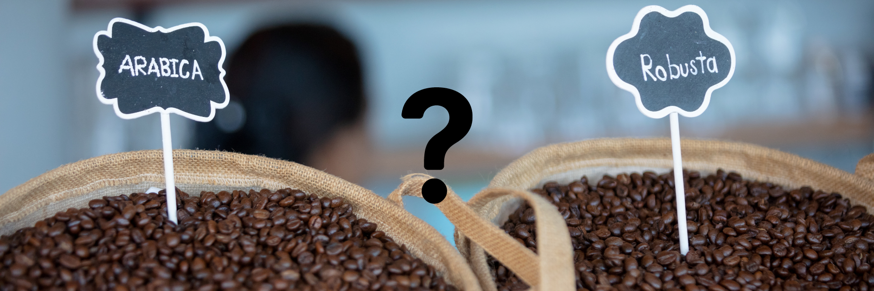 Arabica Vs Robusta Coffee Beans: <br/>What's the Difference?